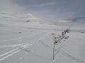 Norway 077